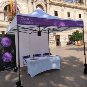 Punto violeta frente al Ayuntamiento de Valencia